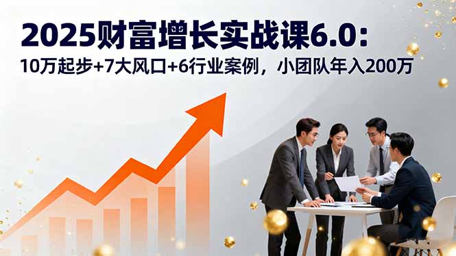 2025财富增长实战课6.0：10万起步+7大风口+6行业案例，小团队年入200万_天恒副业网