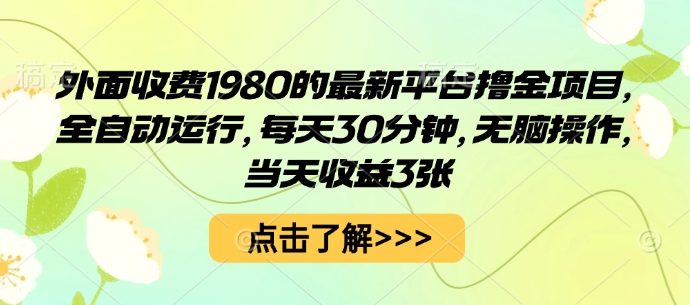 外面收费1980的最新平台撸金项目，全自动运行，每天30分钟，无脑操作，当天收益3张_天恒副业网