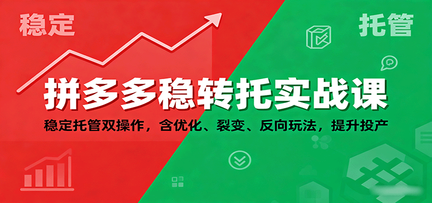 拼多多稳转托实战课：稳定托管双操作，含优化、裂变、反向玩法，提升投产_天恒副业网