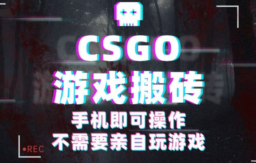 CSGO游戏挂机捡漏，单日扫货500+，年底小高峰上车可吃肉，手机即可操作兼职副业_天恒副业网