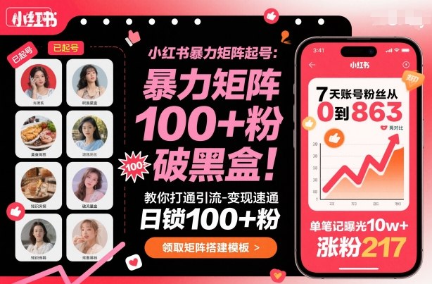 小红书暴力矩阵起号，教你打通引流-变现速通，日锁100+粉，破流量黑盒_天恒副业网
