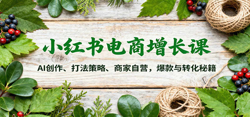 小红书电商增长课：AI创作、打法策略、商家自营，爆款与转化秘籍_天恒副业网