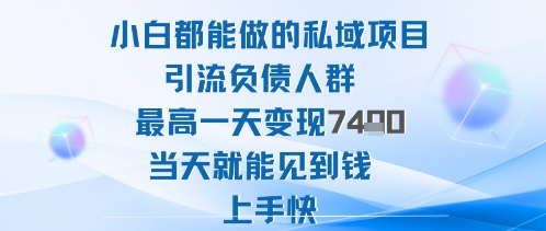 2025年小白都能做的私域项目引流负债人群最高一天变现1k+高变现难度低当天就能见到钱上手快_天恒副业网