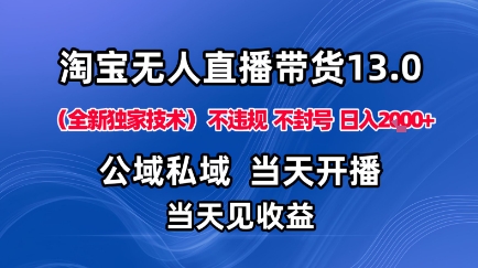 淘宝无人直播13.0,公域私域技术,不封号,不违规布局下半年旺季赛道,日入1K+(独家技术)_天恒副业网