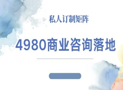4980商业咨询师落地课程-ip运营高客单教程_天恒副业网
