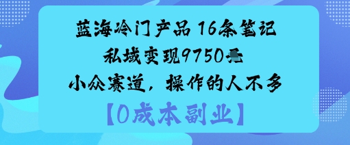 蓝海冷门产品:16条笔记私域变现9750米小众赛道,操作的人不多_天恒副业网
