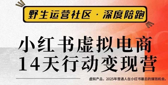 小红书虚拟电商14天变现训练营3.0，​虚拟产品，2025年普通人在小红书最后的搞钱机会_天恒副业网