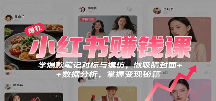 小红书赚钱课：学爆款笔记对标与模仿，做吸睛封面+数据分析，掌握变现秘籍_天恒副业网