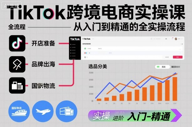 TikTok跨境电商实操课,从入门到精通的全实操流程_天恒副业网