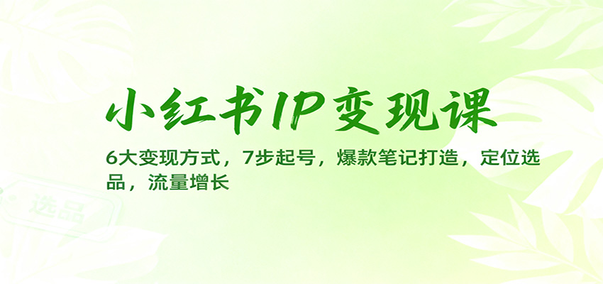 小红书IP变现课:6大变现方式,7步起号,爆款笔记打造,定位选品,流量增长_天恒副业网