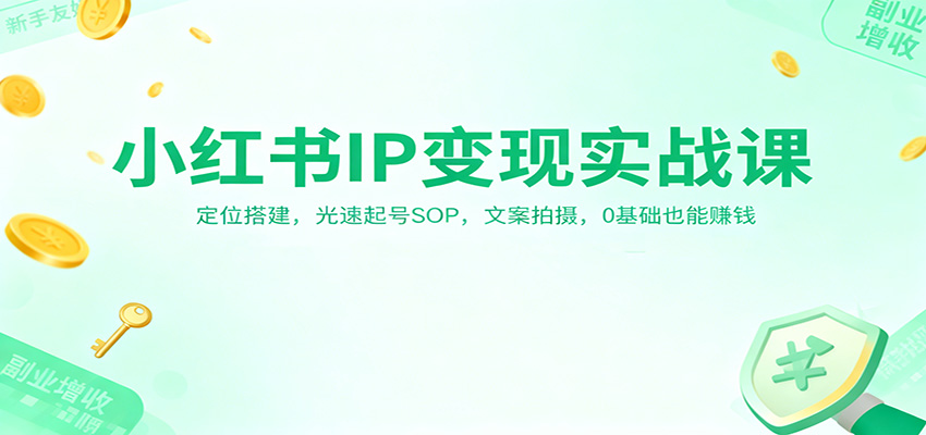 小红书IP变现实战课：定位搭建，光速起号SOP，文案拍摄，0基础也能赚钱_天恒副业网
