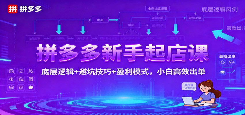 拼多多新手起店课：底层逻辑+避坑技巧+盈利模式，小白高效出单_天恒副业网