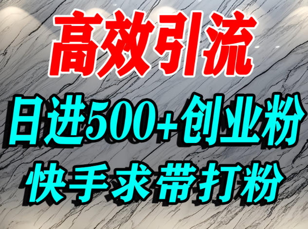 怎么打创业粉？快手求带视角精准引流创业粉，宝妈、学生群体日进500+精准流量_天恒副业网