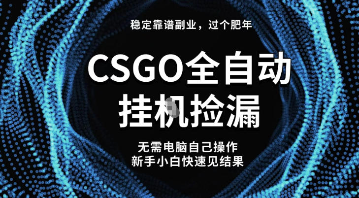 【稳定副业】全球最热门游戏CSGO全自动捡漏，最新玩法，新手小白日入5张+_天恒副业网