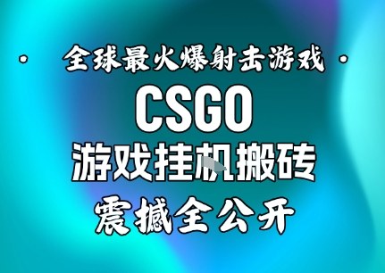 【年底大揭秘】基于全球最火爆的射击CSGO游戏挂G搬砖，日入5张+，震撼公开_天恒副业网