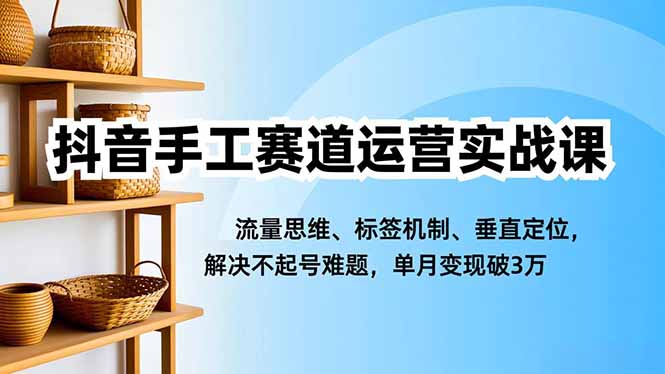 （16667期）抖音手工赛道运营实战课，流量思维、标签机制、垂直定位，解决不起号难题，单月变现破3万_天恒副业网