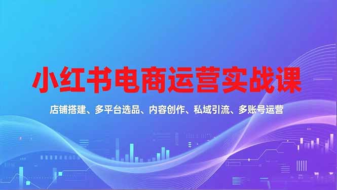 (16695期)小红书电商运营实战课,店铺搭建、多平台选品、内容创作、私域引流、多账号运营等玩法_天恒副业网