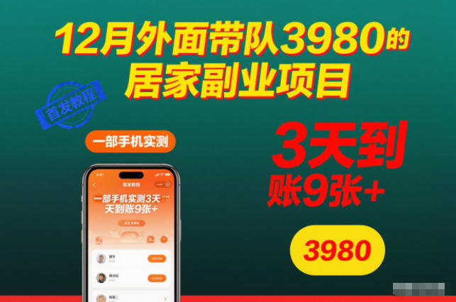 12月外面带队3980的居家副业项目,一部手机实测3天到账9张+,首发教程_天恒副业网