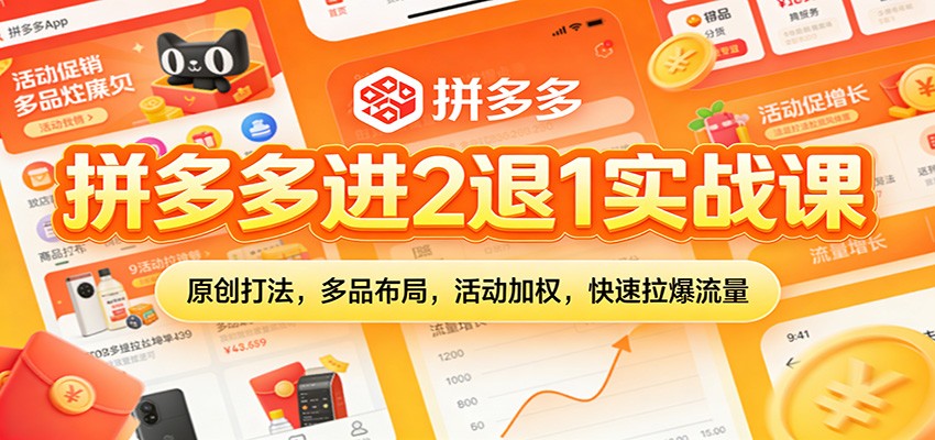 拼多多进2退1实战课:原创打法,多品布局,活动加权,快速拉爆流量_天恒副业网