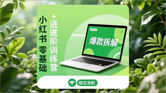 小红书零基础+高阶训练营:安全养号、爆款拆解、长效运营,实现稳定涨粉与变现_天恒副业网