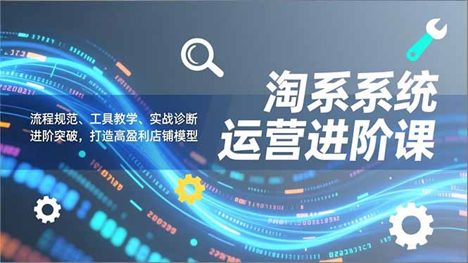 淘系系统运营进阶课2.0，流程规范、工具教学、实战诊断，进阶突破，打造高盈利店铺模型_天恒副业网