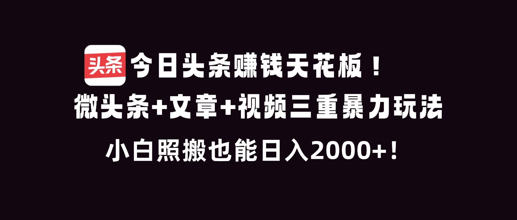 （16888期）今日头条赚钱天花板！微头条+文章+视频三重暴利玩法，小白照搬也能日人2000+_天恒副业网