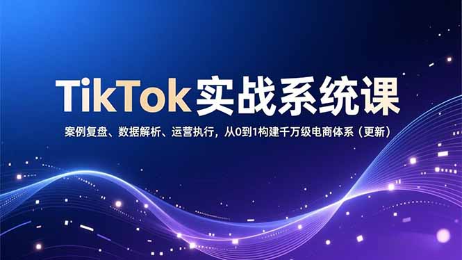 （16918期）TikTok实战系统课，案例复盘、数据解析、运营执行，从0到1构建千万级电商体系（更新）_天恒副业网
