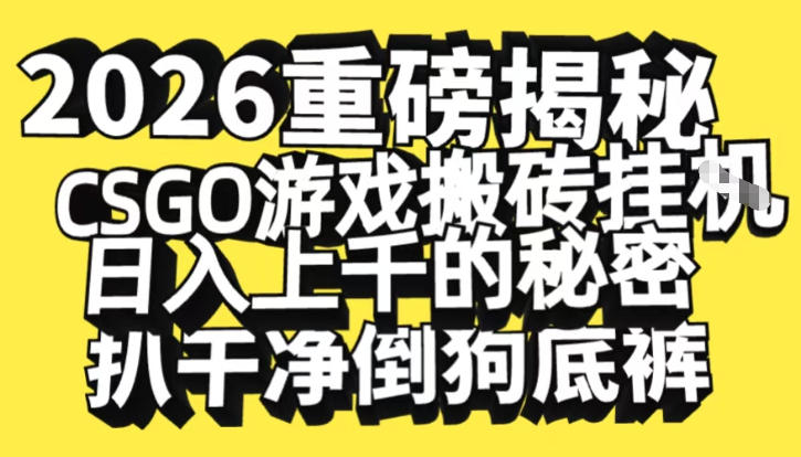 2026开年重磅解密，CSGO游戏搬砖挂G日入1k+的秘密，把倒狗的底裤扒干_天恒副业网