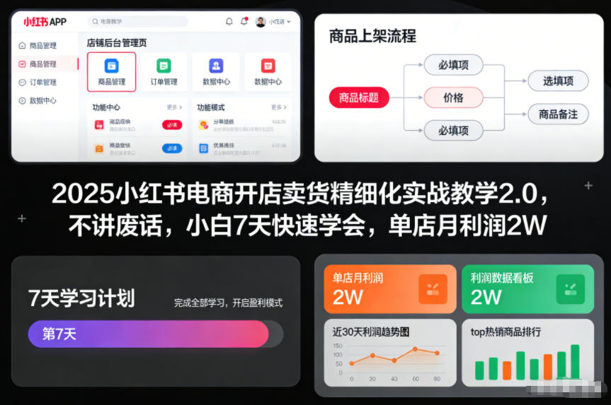 2025小红书电商开店卖货精细化实战教学2.0,不讲废话,小白7天快速学会,单店月利润2W_天恒副业网