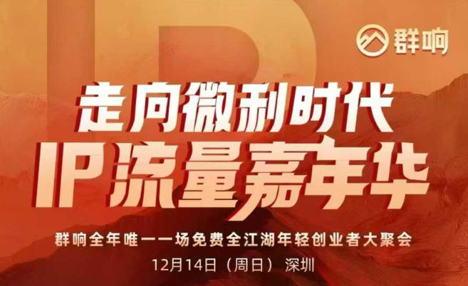 2025ip嘉年华万人12月14深圳线下课，走向微利时代，IP流量嘉年华，实操性极强的商业干货课_天恒副业网