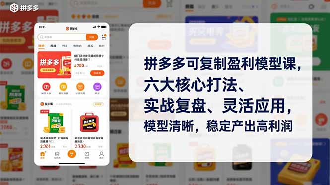 (16952期)拼多多可复制盈利模型课,六大核心打法、实战复盘、灵活应用,模型清晰,稳定产出高利润_天恒副业网