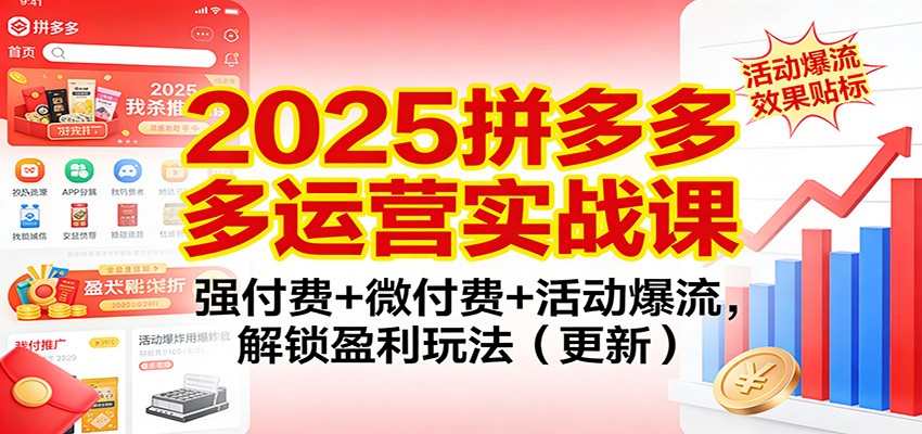 2025拼多多运营实战课:强付费+微付费+活动爆流,解锁盈利玩法(更新)_天恒副业网