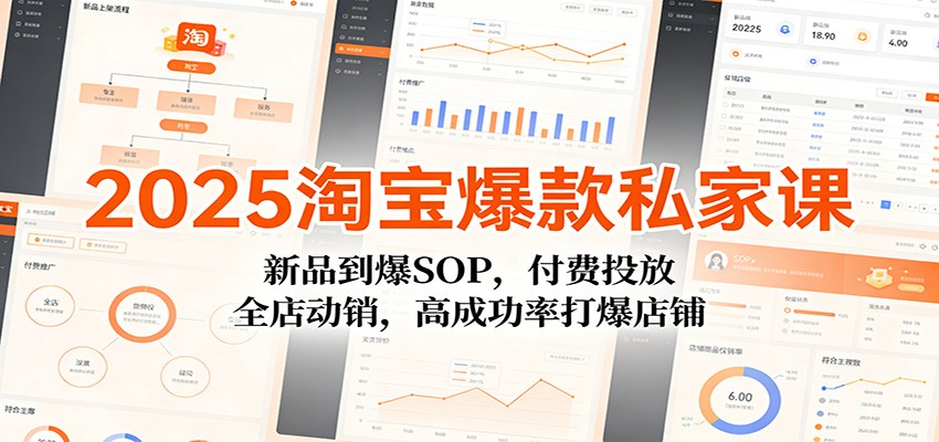 2025淘宝爆款私家课:新品到爆SOP,付费投放,全店动销,高成功率打爆店铺_天恒副业网