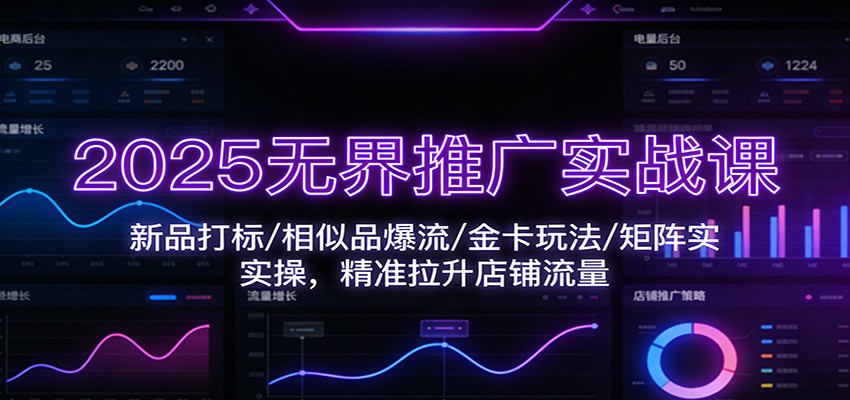 2025无界推广实战课:新品打标/相似品爆流/金卡玩法/矩阵实操,精准拉升店铺流量_天恒副业网