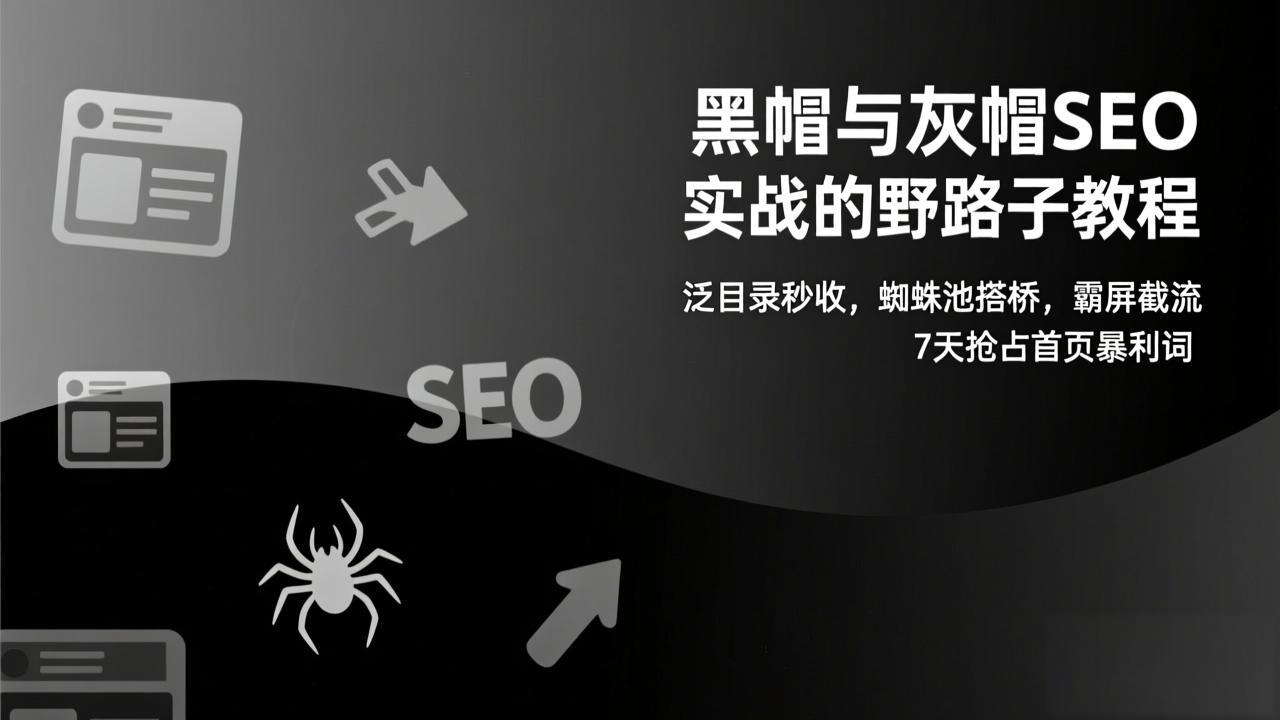 (17125期)黑帽与灰帽SEO实战的野路子教程:泛目录秒收,蜘蛛池搭桥,霸屏截流,7天抢占首页暴利词_天恒副业网