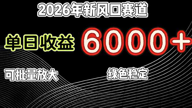 (17135期)2026年新风口赛道,当日6000+以上,可批量放大,月收入20万+,长期绿色稳定的项目_天恒副业网