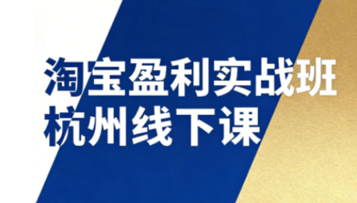 淘宝盈利实战班杭州线下课12月26-28日(音频+字幕),帮你掌握SOP流程+12门核心技术_天恒副业网