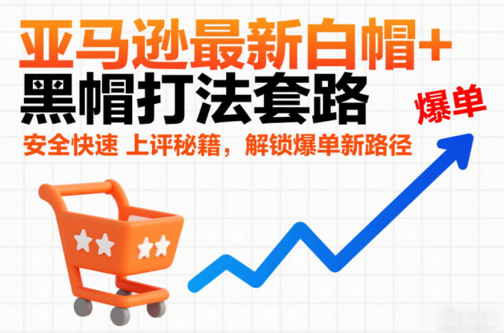 亚马逊最新白帽+黑帽打法套路,安全快速上评秘籍,解锁爆单新路径_天恒副业网