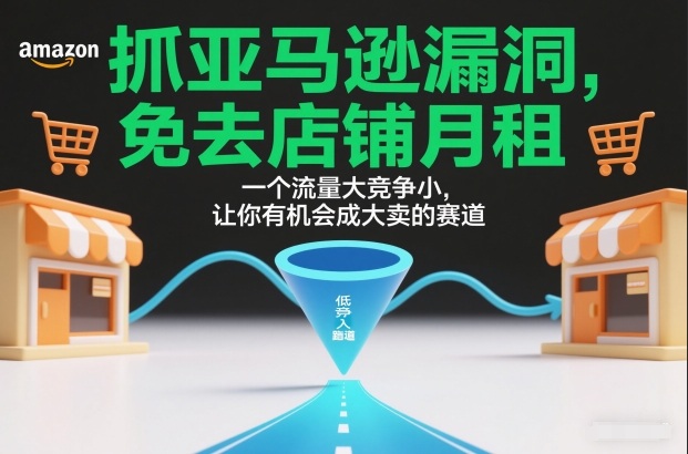 抓亚马逊漏洞,免去店铺月租,一个流量大竞争小,让你有机会成大卖的赛道_天恒副业网