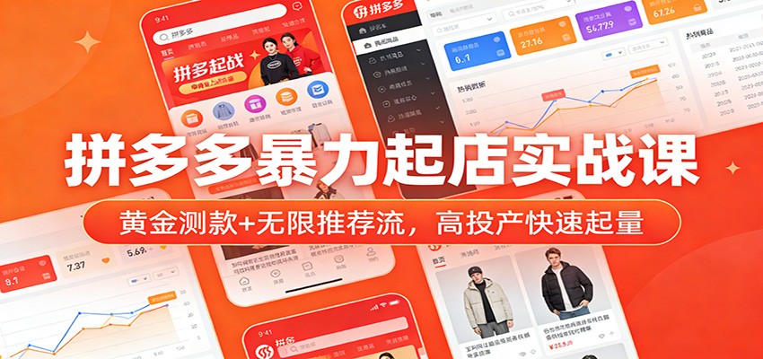 拼多多暴力起店实战课:黄金测款+无限推荐流,高投产快速起量_天恒副业网