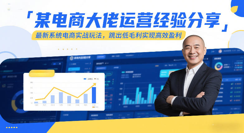 某电商大佬运营经验分享,最新系统电商实战玩法,跳出低毛利实现高效盈利_天恒副业网