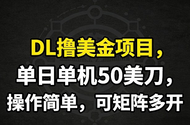 DL撸美金项目，单日单机50美刀，操作简单，可矩阵多开_天恒副业网