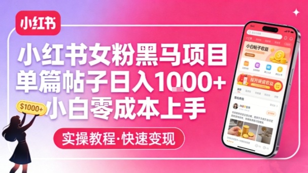 小红书女粉黑马项目,单篇帖子日入1k+,小白零成本上手_天恒副业网